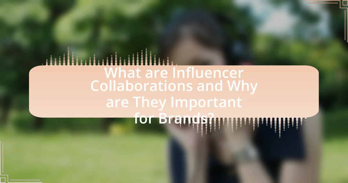What are Influencer Collaborations and Why are They Important for Brands?