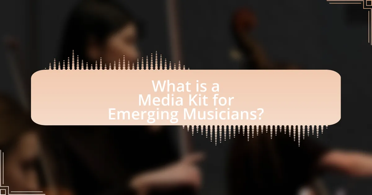 What is a Media Kit for Emerging Musicians?